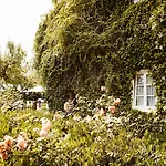 Gutsgasthof Stangl 4* Фатерштеттен